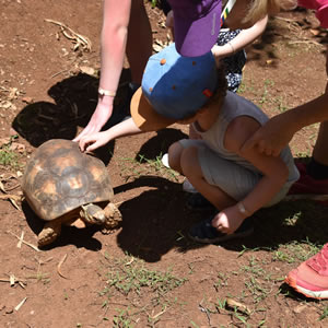 Kid’s Corner (Fishing + Zipline)