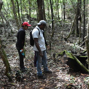 Riverside Hiking Trail